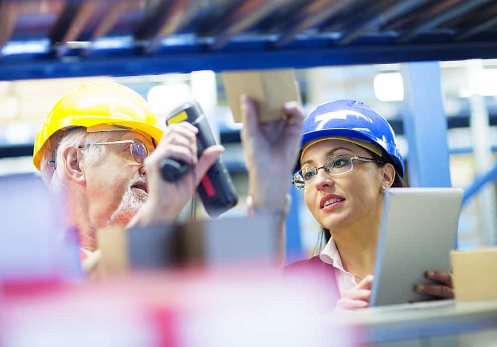 Warehouse worker and Iinspector, controller,  checking inventory